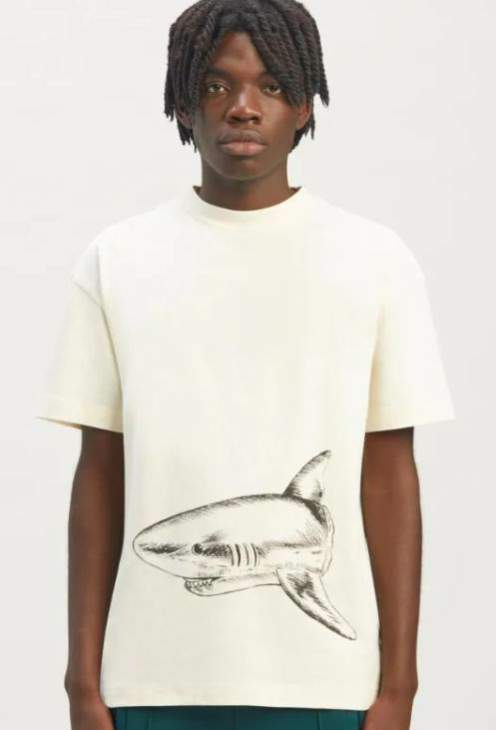 Picture of Palm Angels T Shirts Short _SKUPalmAngelsS-XLmrtx80104109